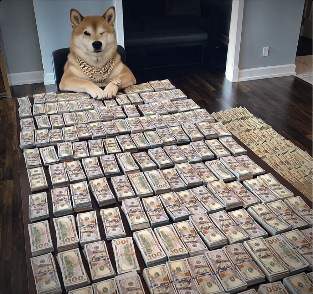 A framed photograph of Rich Shiba Inu sitting at a table covered in stacks of hundred dollar bills